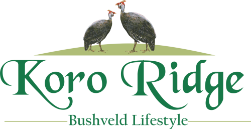 Koro Ridge